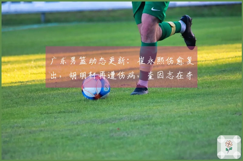 广东男篮动态更新：崔永熙伤愈复出，胡明轩再遭伤病，奎因志在夺冠